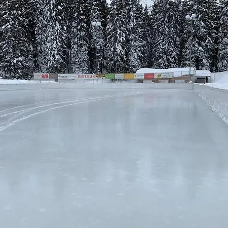 Stella Alpina Vacanze Invernali 2021 San Bernardino Апартаменты