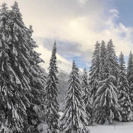 Stella Alpina Vacanze Invernali 2021 San Bernardino Mesocco