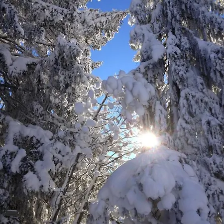 Stella Alpina Vacanze Invernali 2021 San Bernardino Апартаменты Mesocco